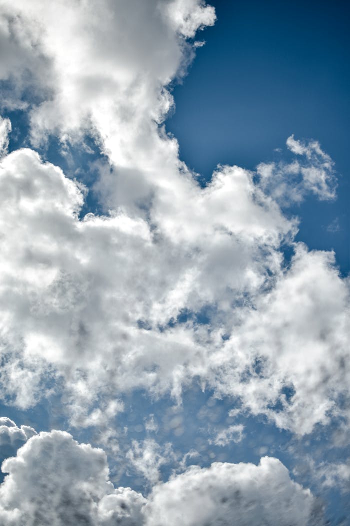 pexels photo 5502303.jpeg