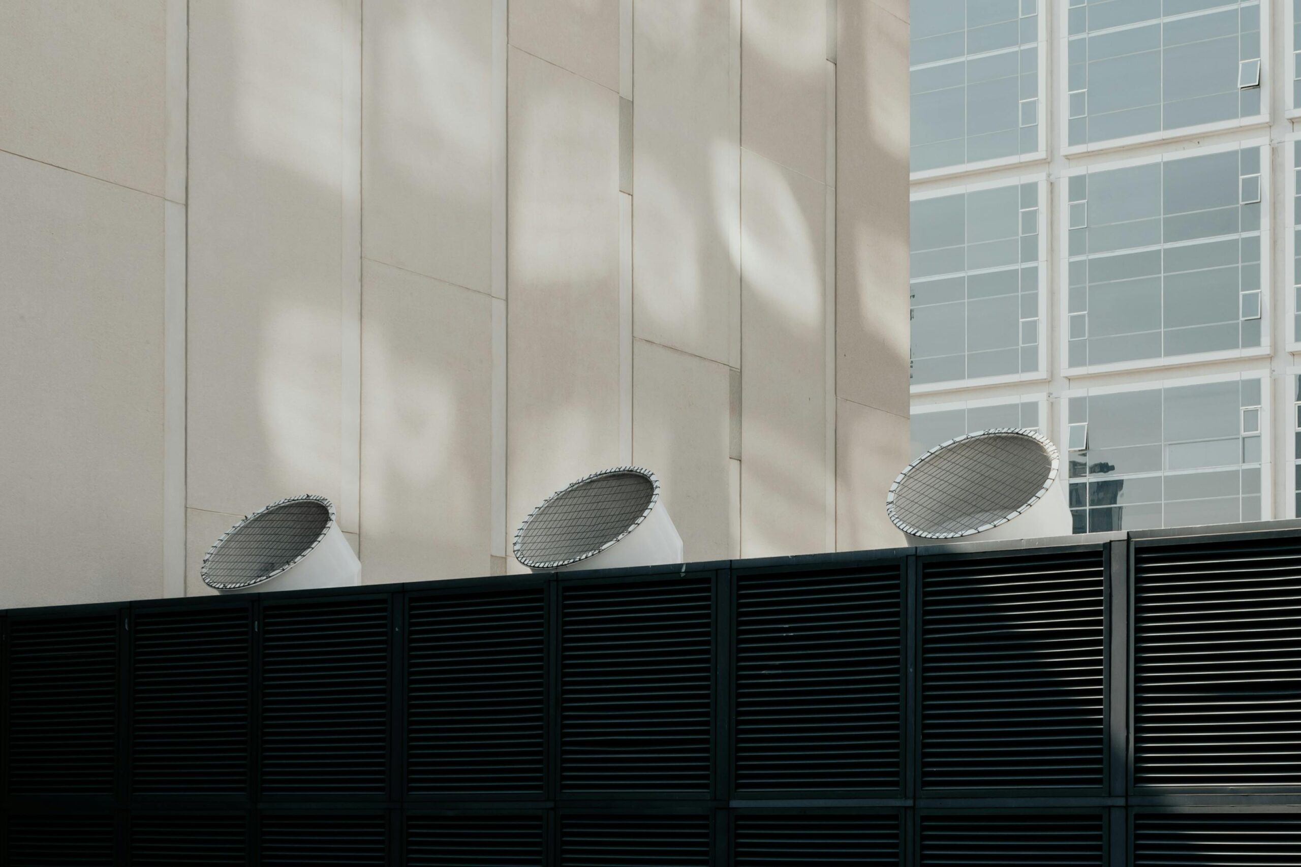 pexels photo 6033459